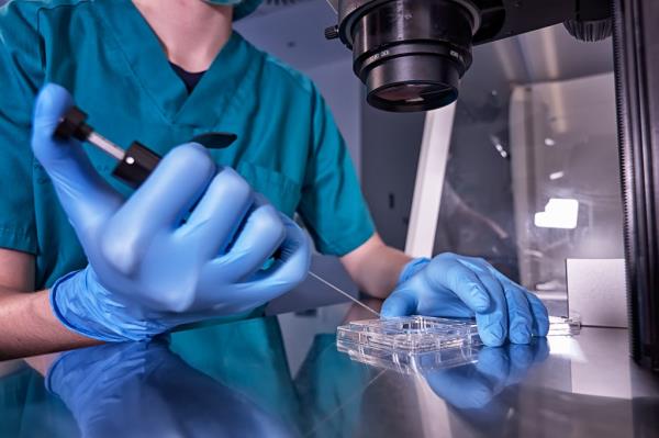 In vitro fertilization process close up.